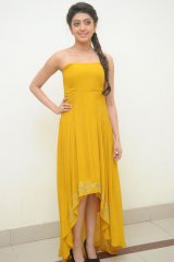 Pranitha at Alludu Seenu Audio Launch